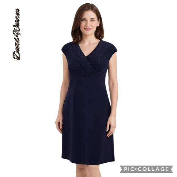 David Warren Dresses & Skirts - DW3 dress v-neck purple formal party lined side zip back slit sleeveless USA